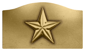 DASHELL-430-GD Star Gold